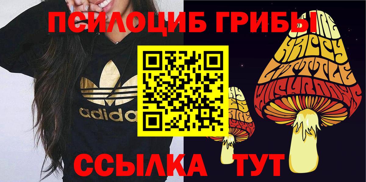 Псилоцибиновые грибы мухоморы  Вход с VPN  Алушта 