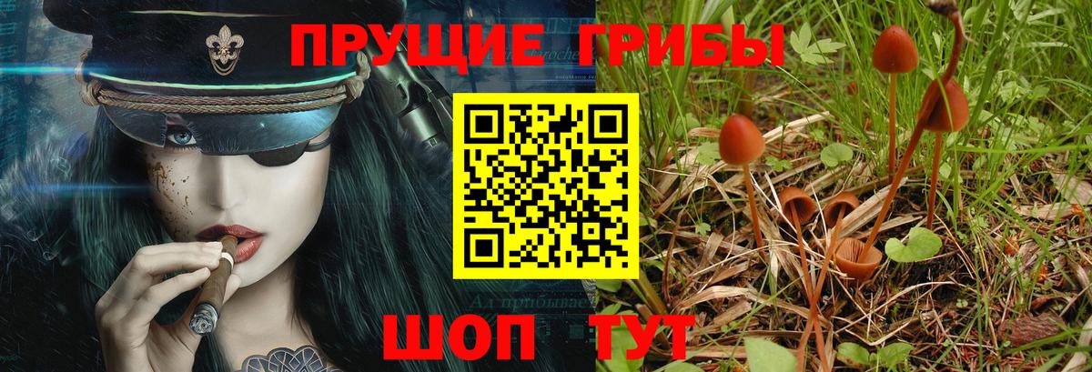 Галлюциногенные грибы прущие грибы Алушта